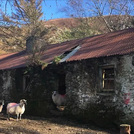 Oda ve Kahvaltı The Ferris Wheel 4*