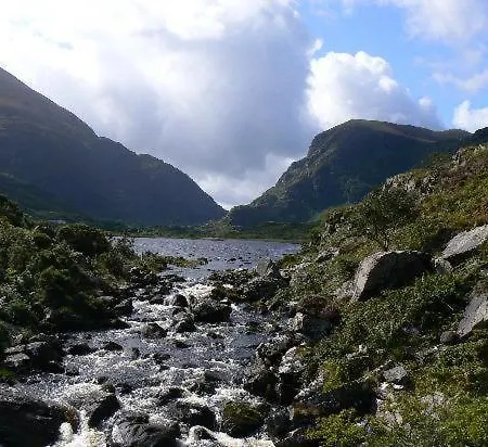 The Ferris Wheel B&B