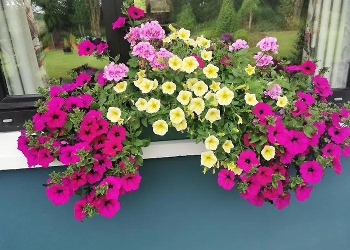 לינה וארוחת בוקר The Ferris Wheel