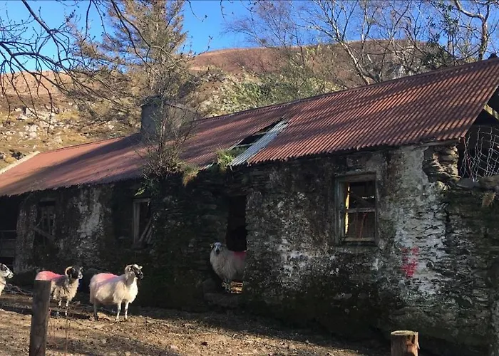 Oda ve Kahvaltı The Ferris Wheel 4*